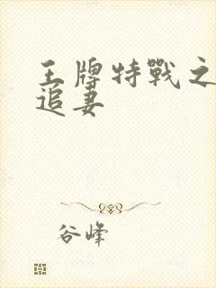 王牌特战之军少追妻