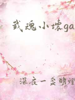 武魂小坏ga