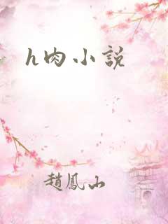 h肉小说