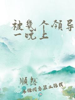 被几个领导玩弄一晚上