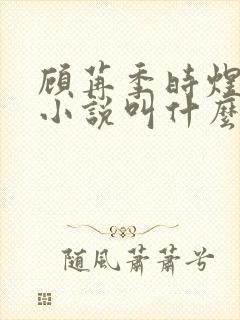 顾苒季时煜电竞小说叫什么名字