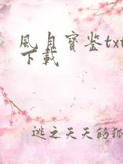 风月宝鉴txt下载