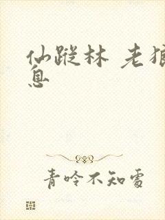 仙踪林 老狼信息
