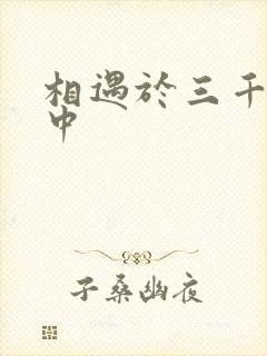 相遇于三千肉文中