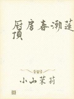 厨房春潮莲花坐顶