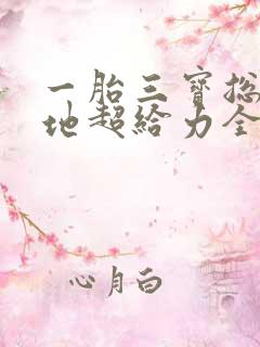 一胎三宝总裁爹地超给力全文免费阅读