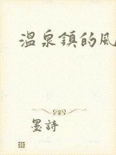 温泉镇的风流事