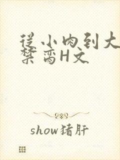 从小肉到大师傅禁脔H文