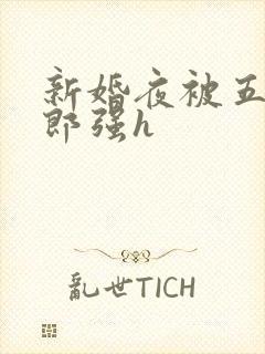 新婚夜被五个伴郎强h