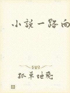 小说一路向西