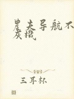 农夫导航不要打灰机