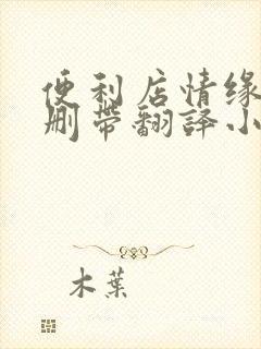 便利店情缘未增删带翻译小说