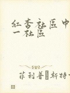 红杏社区中文第一社区