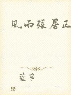 风雨张居正下载