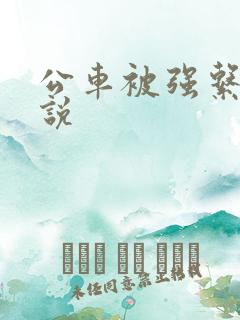 公车被强系列小说