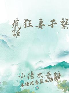 疯狂妻子系列小说