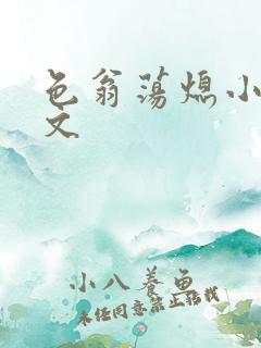 色翁荡熄小说全文