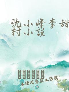 沈小峰李甜的乡村小说