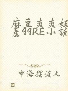 麻豆爽爽妓女国产99RE小说