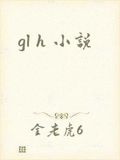 gl h 小说