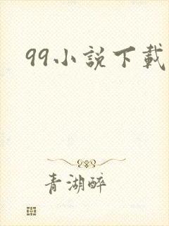 99小说下载网