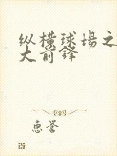 纵横球场之暴力大前锋