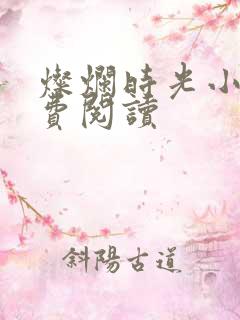 灿烂时光小说免费阅读