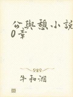 公与憩小说400章