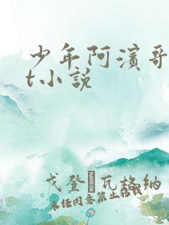 少年阿滨哥txt小说