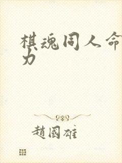 棋魂同人命运之力