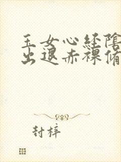 玉女心经阴进阳出退赤裸修行