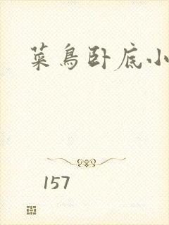 菜鸟卧底小正太