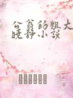 公翁的粗大放进晓静小说