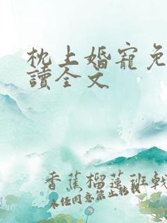 枕上婚宠免费阅读全文