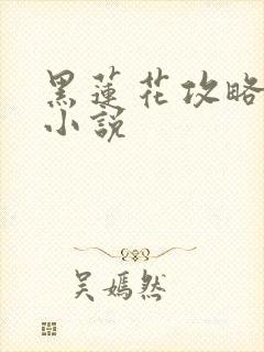 黑莲花攻略手册小说