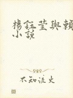 杨钰莹与赖昌星小说