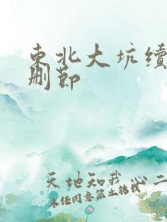 东北大坑续集未删节