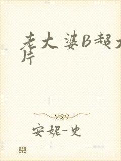 老大婆B超大图片