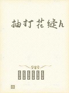 抽打花缝h