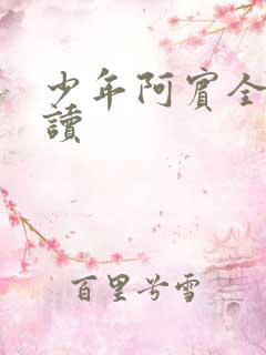 少年阿宾全集阅读