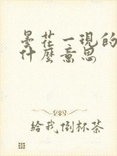 昙花一现的现是什么意思