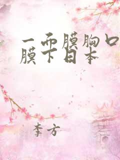 一面膜胸口一面膜下日本