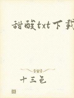 甜酸txt下载