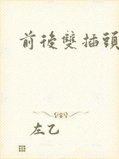 前后双插头互攻