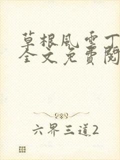 草根风云丁长生全文免费阅读