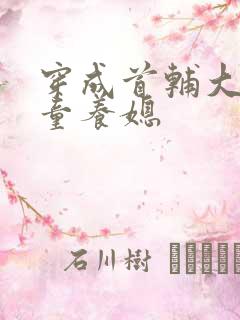 穿成首辅大人的童养媳