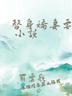 替身娇妻要离婚 小说