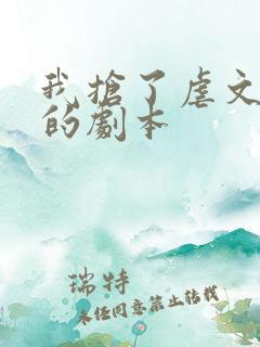 我抢了虐文男主的剧本