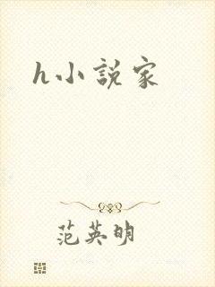 h小说家