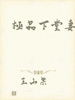 极品下堂妻